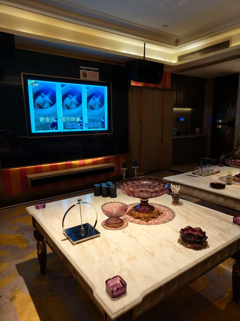 乐山商务ktv及商务ktv啥意思解析-沙湾区ktv预订